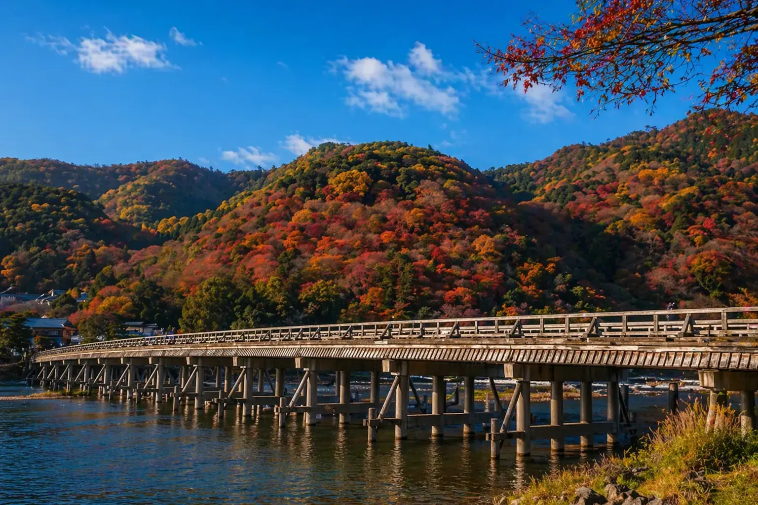 #京都・嵐山